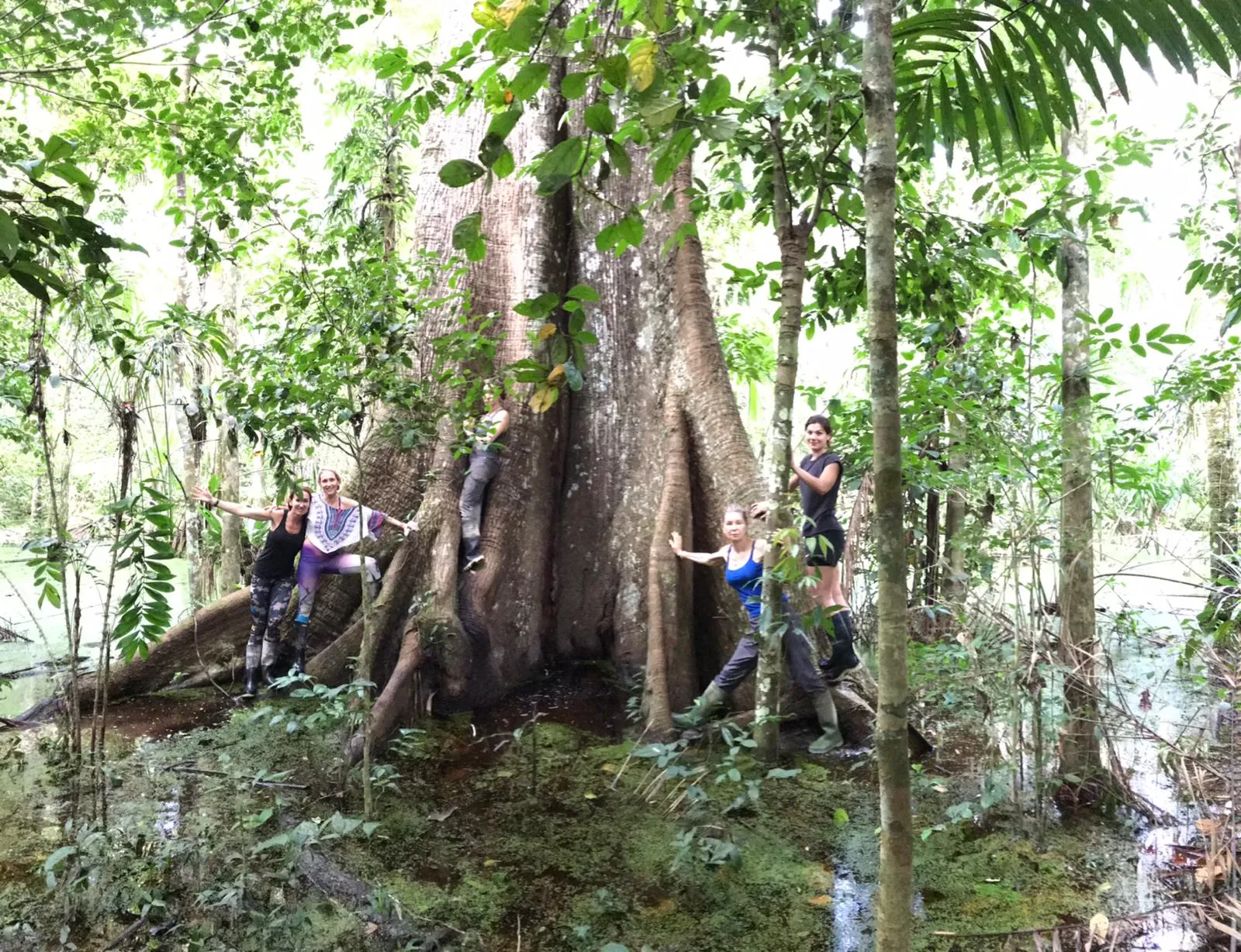 Retreat participants gathered at the foot of a giant ceiba tree in the jungle